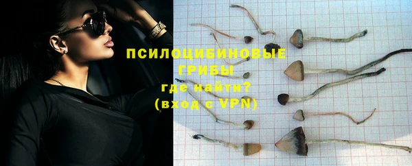 спайс Алексеевка
