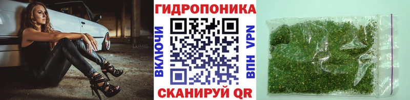 Конопля OG Kush Тюмень