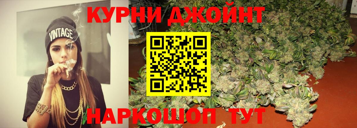 Каннабис OG Kush  Вход с VPN  Марихуана White Widow  Тюмень  Конопля сатива  Конопля индика 